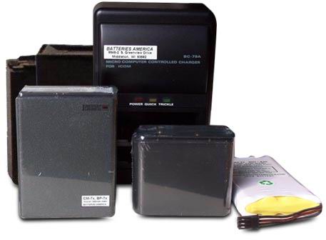 PACCO BATTERIA NiMH Battery 12.0v 1300 mAh